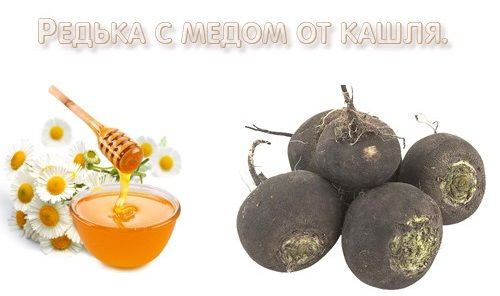 Черная редька от кашля